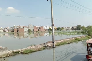 water logging