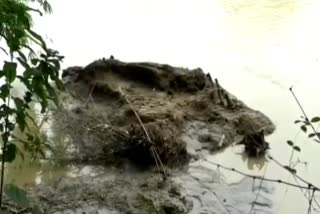 Hailakandi Kathakahl river erosion