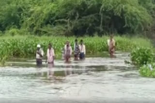 Heavy Rains in Nellore district