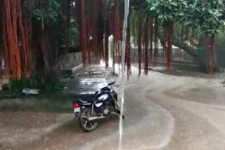 rainfall in Kutiana