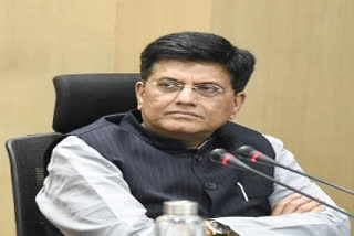 Railway Minister Piyush Goyal (file photo)