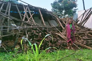 Elephants break houses