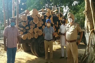 BDPO confiscates trolley full of illegally felled trees