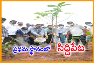 పల్లె ప్రకృతి వనాలతో గ్రామాల్లో పచ్చదనం : కలెక్డర్ వెంకట్రామ రెడ్డి