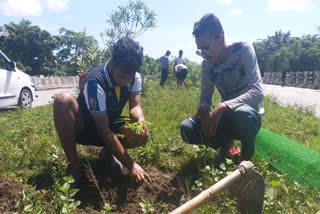 সৃষ্টিৰ উদ্যোগত নলবাৰীত বৃক্ষৰোপন