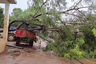 Youth dies due to lightning in Kawardha