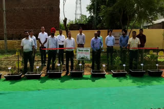 Planted saplings to keep the environment clean under the National Nutrition Mission