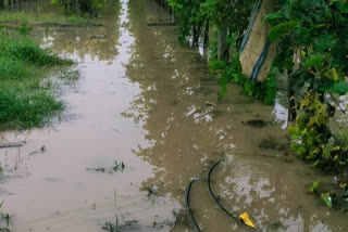 Heavy rain in Athani