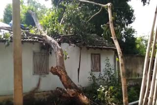 Natural disasters in mayurbhanj