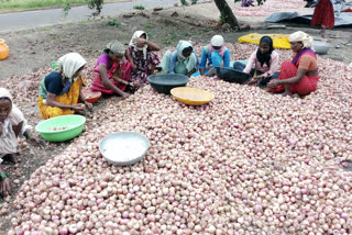 ಸಂಕಷ್ಟದಲ್ಲಿ ಈರುಳ್ಳಿ ಬೆಳೆಗಾರರು