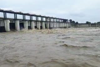 jaykwadi dam water release for vishnupuri project at nanded