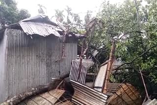 poultry-farm-damaged-in-storm-at-tufanganj