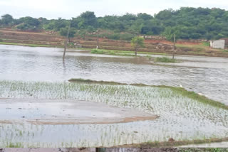 Wanaparthy People Face Problems With Rains