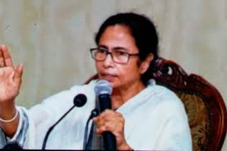 mamta banerjee