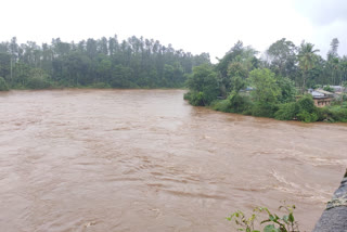 rainfall decline in chikmagalore