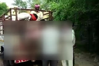 पति ने लाठी से पीटकर की पत्नी की हत्या, Husband beaten his wife with stick