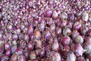 onion  prices  in Kurnool market.