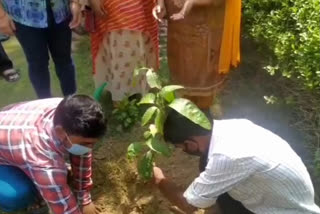 Tree plantation program organized in Sri Niketan Society of Dwarka