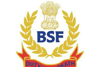 BSF apprehends 9685 illegal Bangladeshi migrants from Indo-Bangla border