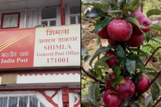 online portal for himachal apples