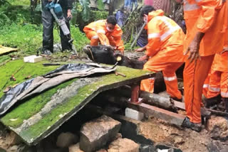 Firefighters rescued the cows  Firefighters rescued the cows in kozhikode  cows trapped inside slab  സ്ലാബിനുള്ളിൽ കുടുങ്ങിയ പശുക്കളെ രക്ഷപ്പെടുത്തി  പശുക്കളെ ഫയർഫോഴ്‌സ് രക്ഷപ്പെടുത്തി  ഫയർഫോഴ്‌സ് രക്ഷപ്പെടുത്തി