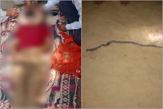 girl dies due to snake bite in jalore,  girl dies due to snake bite
