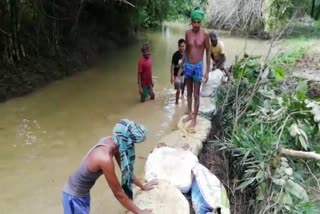 khurdha latest news, farmers agitation in khurdha, dam collapsed in khurdha, construction of sand dam in khurdha, ଖୋର୍ଦ୍ଧା ଲାଟେଷ୍ଟ ନ୍ୟୁଜ୍‌, ଖୋର୍ଦ୍ଧାରେ ତାତିଲେ ଚାଷୀ, ଖୋର୍ଦ୍ଧାରେ ଭାଙ୍ଗିଲା ନଦୀ ବନ୍ଧ, ଖୋର୍ଦ୍ଧାରେ ଚାଷୀଙ୍କ ବାଲି ବନ୍ଧ ନିର୍ମାଣ