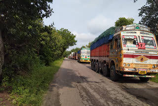 Tree Fall down On Road In Kamareddy District