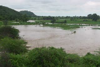 Destroy 100 acres of paddy