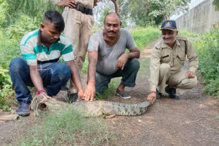 vadodara