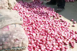 Onion crops destroyed by heavy rain