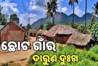 ଶୋଚନୀୟ ସ୍ଥିତିରେ ସିନ୍ଦୁରିଆ ଗାଁ, ନାହିଁ  ରାସ୍ତା କି  ପକ୍କା ଘର