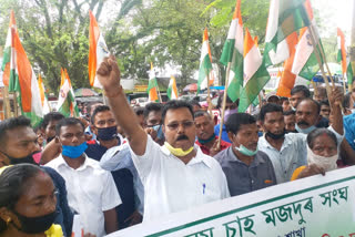 Protest  tinsukia at sah majdur sangha