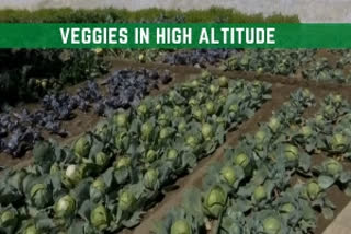 DRDO working on cultivating vegetables under intense winters for Indian Army