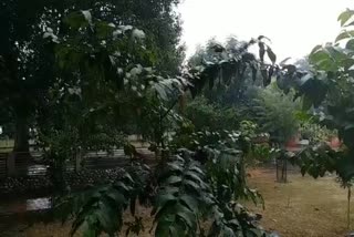 Rain in kaithal