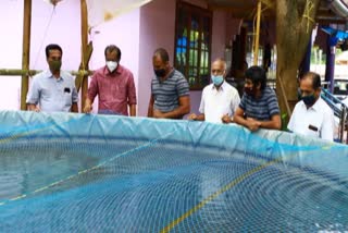 fish farming news  biofloc fish farming news  മത്സ്യ കൃഷി വാര്‍ത്തകള്‍  ബയോഫ്ലോക്ക് മത്സ്യ കൃഷി