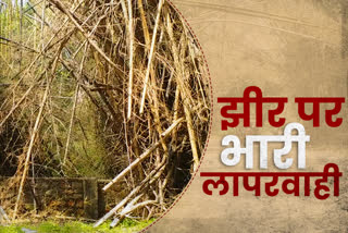 Jheer Nursery Latest News, condition of Jheer nursery of Jhalawar