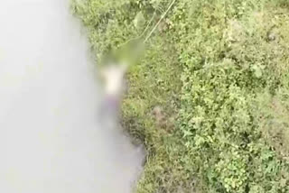 retired je and his wife die after car falls into canal in kurukshetra