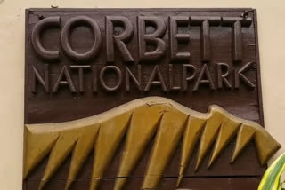 Corbett National Park news