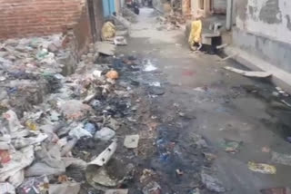 Cleanliness problem in Prince Colony of Hari Nagar