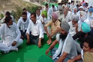 farmers protest against seed company in shahabad
