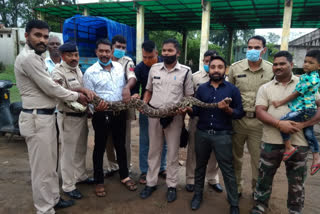 the giant dragon entered korba police line