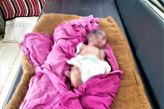 baby-boy-dead-body-found-in-graveyard-at-kasibugga-in-warangal-urban-district