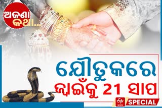 ଅଜବ ପରମ୍ପରା; ବାହାଘର ବେଳେ ଝିଅ ନେଇଯାଏ ବିଷଧର ସାପ