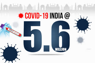 India's COVID-19 tally crosses 56 lakh mark