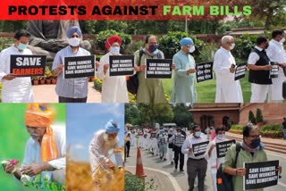 farmers-bill-protest-opposition-holds-protest-inside-parliament-premises