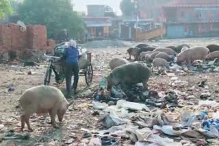 Ram Leela Maidan in Amroha has now become a center of filth