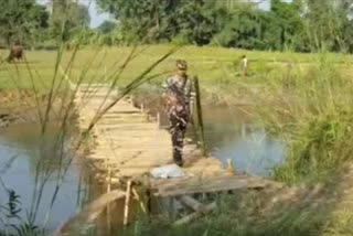 Bamboo Bridge