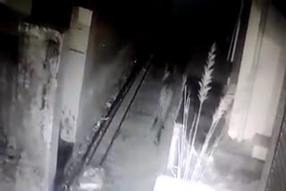 pithoragarh cctv footage of leapord