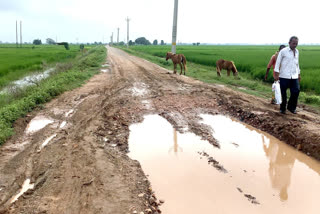 sheikhpura-lakhisarai